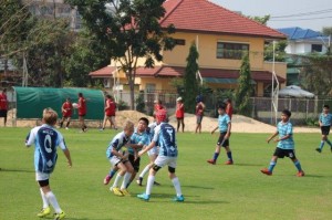 IMG_0030 - Copy