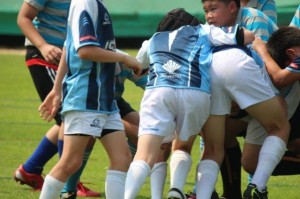 IMG_0037 - Copy