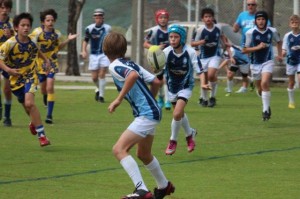 IMG_0090 - Copy