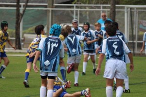 IMG_0091 - Copy