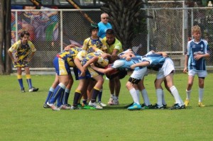 IMG_0095 - Copy
