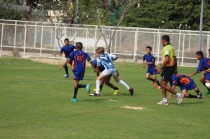 IMG_0138 - Copy