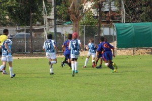 IMG_0147 - Copy