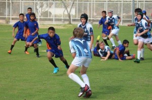 IMG_0151 - Copy