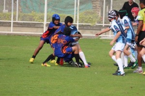 IMG_0153 - Copy