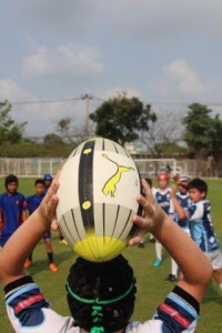 IMG_0163 - Copy