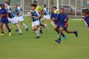IMG_0174 - Copy