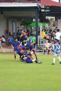 IMG_0184 - Copy