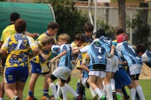 IMG_0264 - Copy