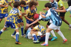 IMG_0275 - Copy