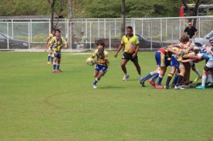IMG_0293 - Copy