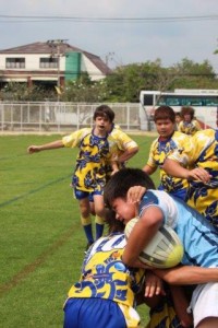 IMG_0308 - Copy