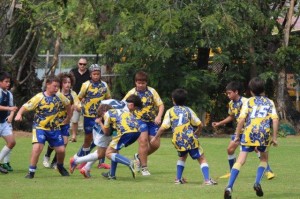 IMG_0313 - Copy