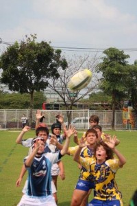 IMG_0346 - Copy