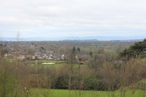 IMG_2461