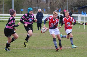 IMG_2488