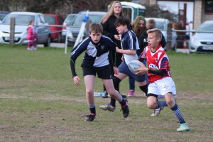 IMG_2589