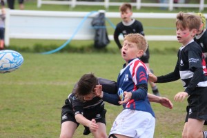 IMG_2693