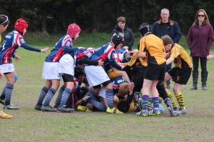 IMG_2739