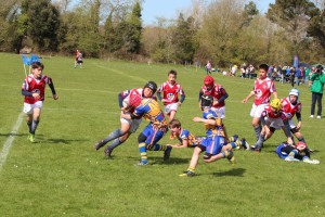 IMG_3407