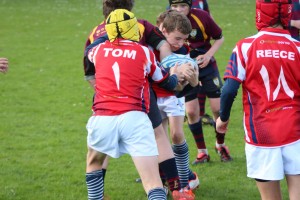 IMG_3470