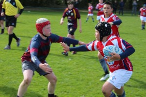 IMG_3506